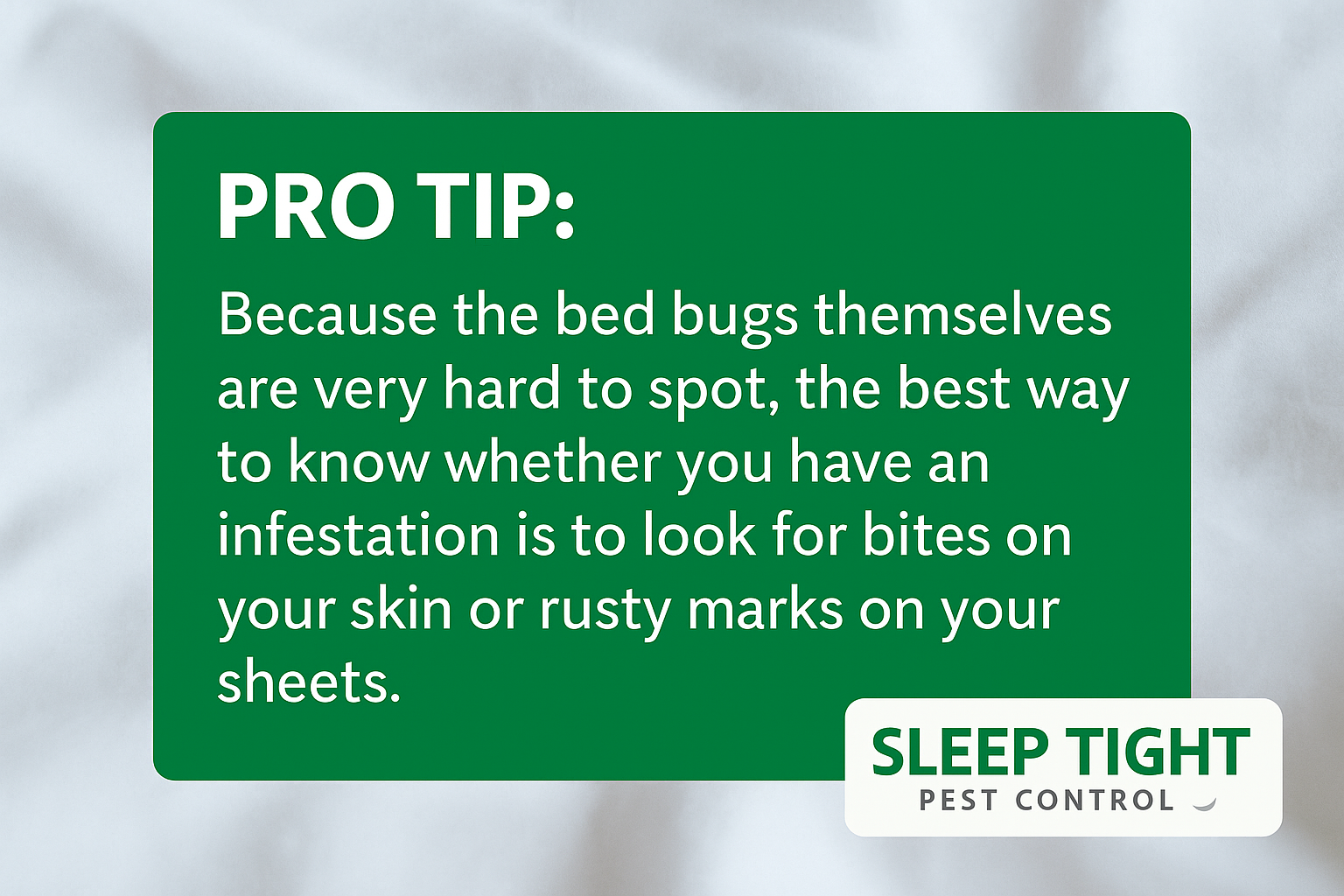 How to Tell If You Have Bed Bugs — Even When You Can’t See Them